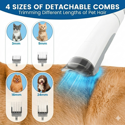 Groomify™ Perfect Paws Kit