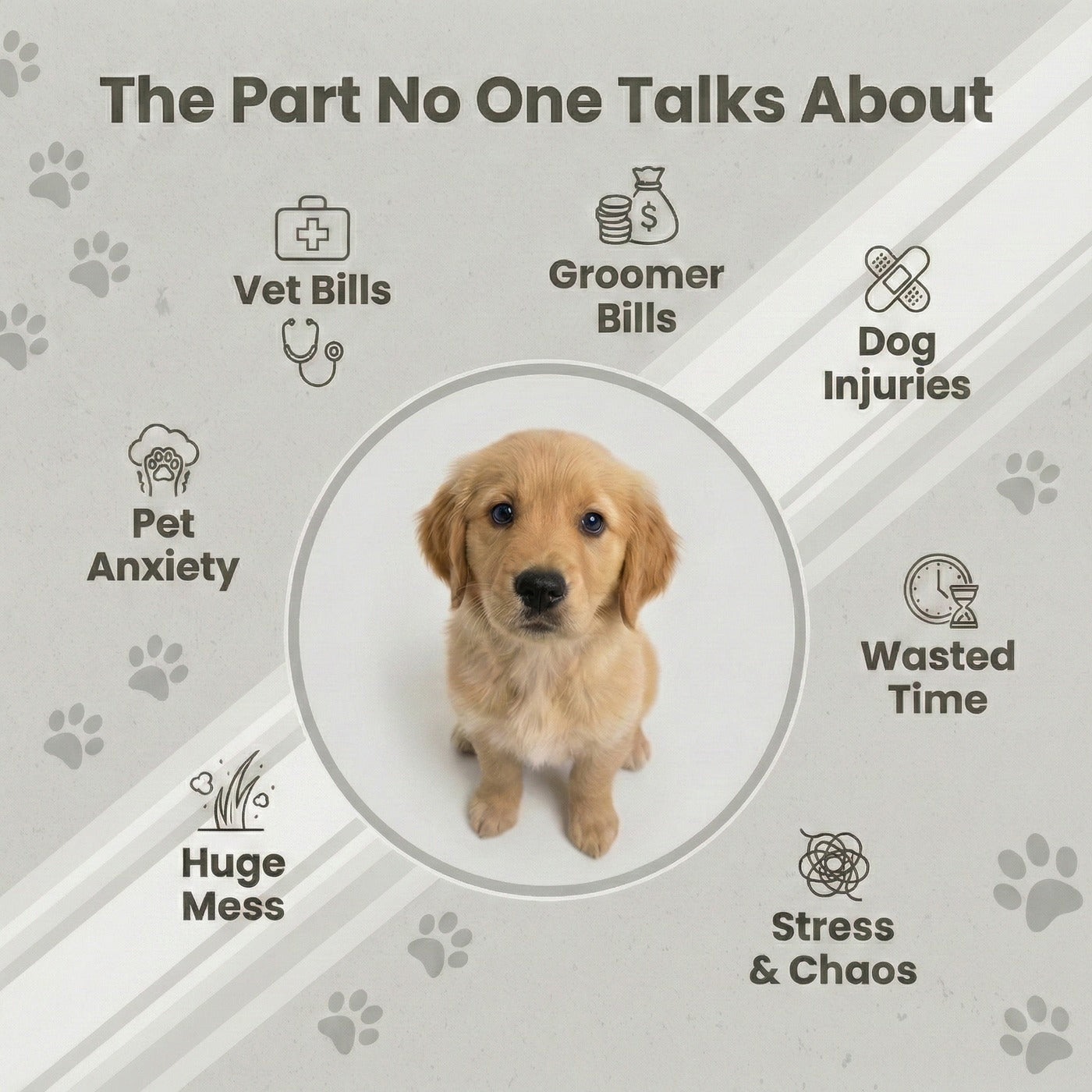 Groomify™ Perfect Paws Kit