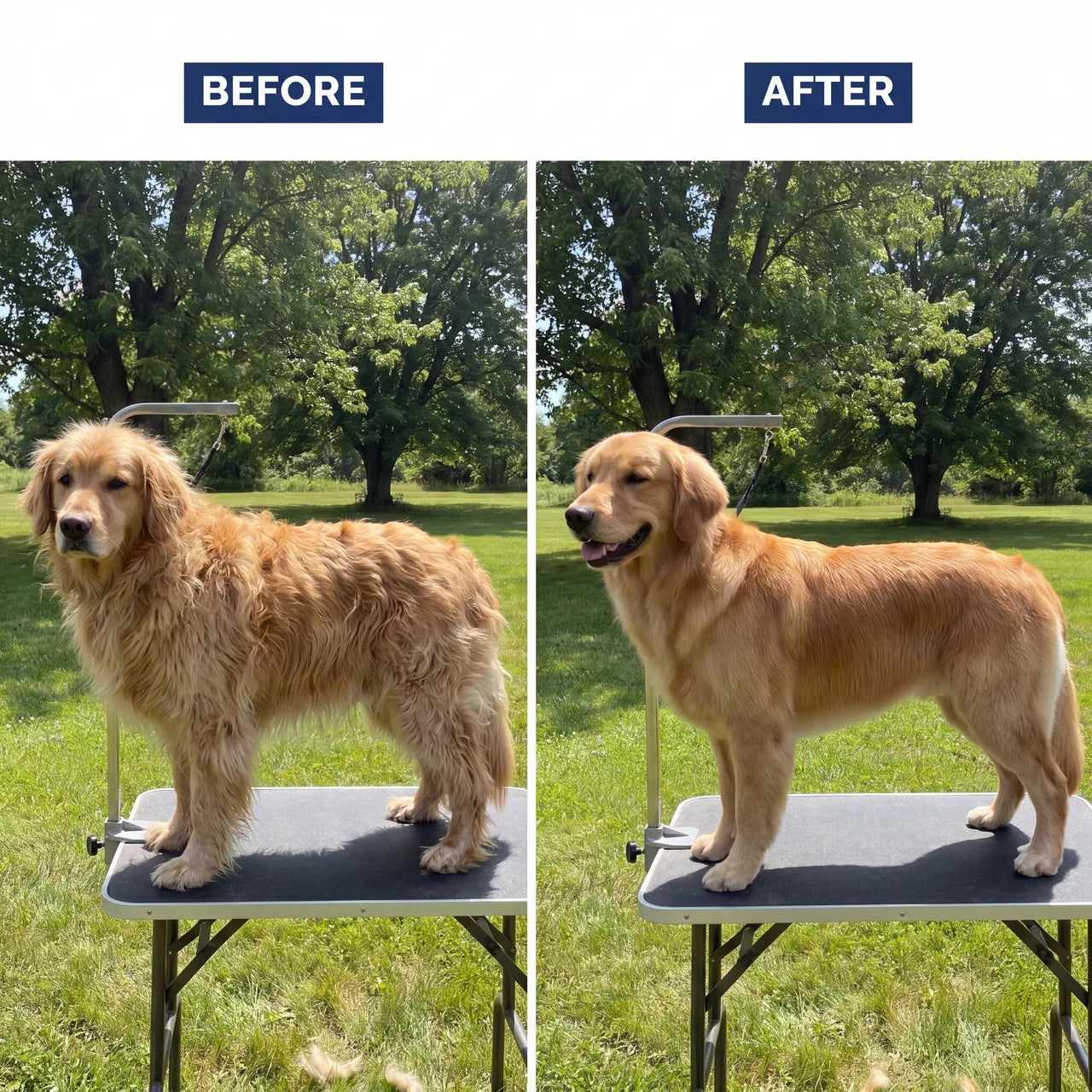 Groomify™ Perfect Paws Kit