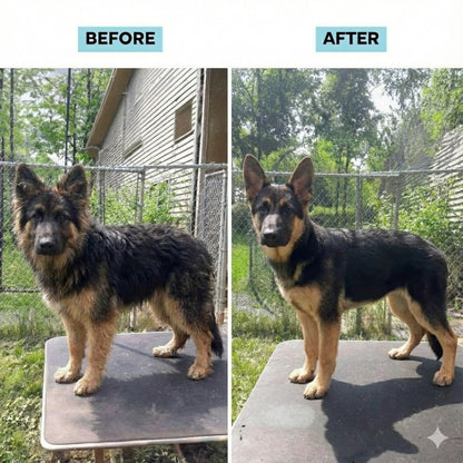 Groomify™ Perfect Paws Kit