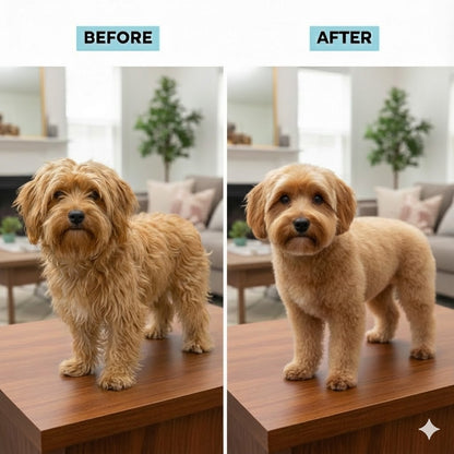 Groomify™ Perfect Paws Kit